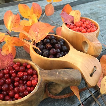 B&B Pinus Mäntyharju 외부 사진